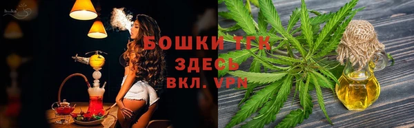 ГАЛЛЮЦИНОГЕННЫЕ ГРИБЫ Покачи