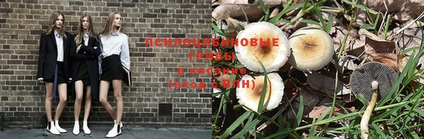 гидропоника Алзамай