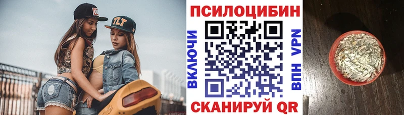 Псилоцибиновые грибы Magic Shrooms Магадан